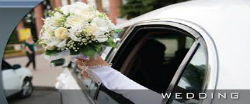 Wedding Service